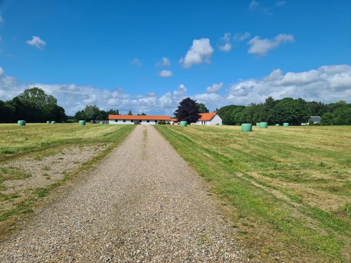 Lovely Room, Easy Access To E45 Highway Rask Molle Exterior foto